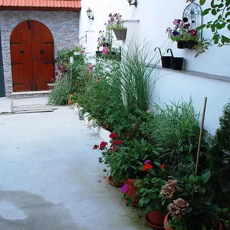 5 Min Walk To Bascarsija! Wow! *